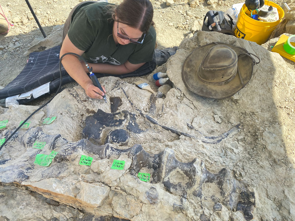Paleontologist working on a fossil in Wyoming.